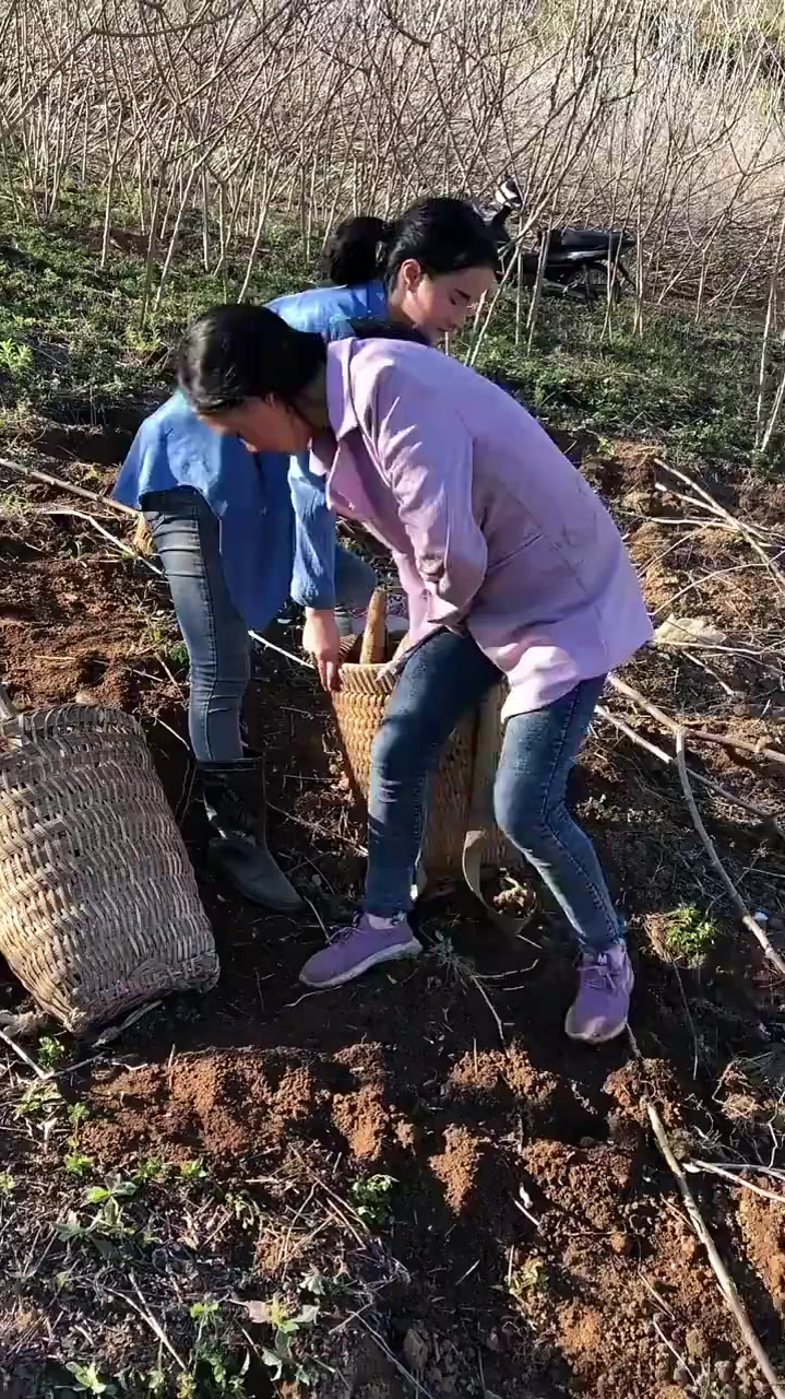 老挝农村生活图片