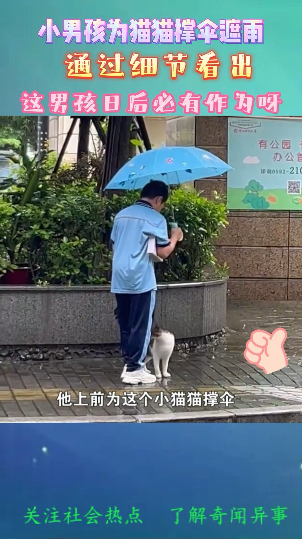 小男孩为猫咪撑伞遮雨通过这细节看出这男孩日后必有作为呀