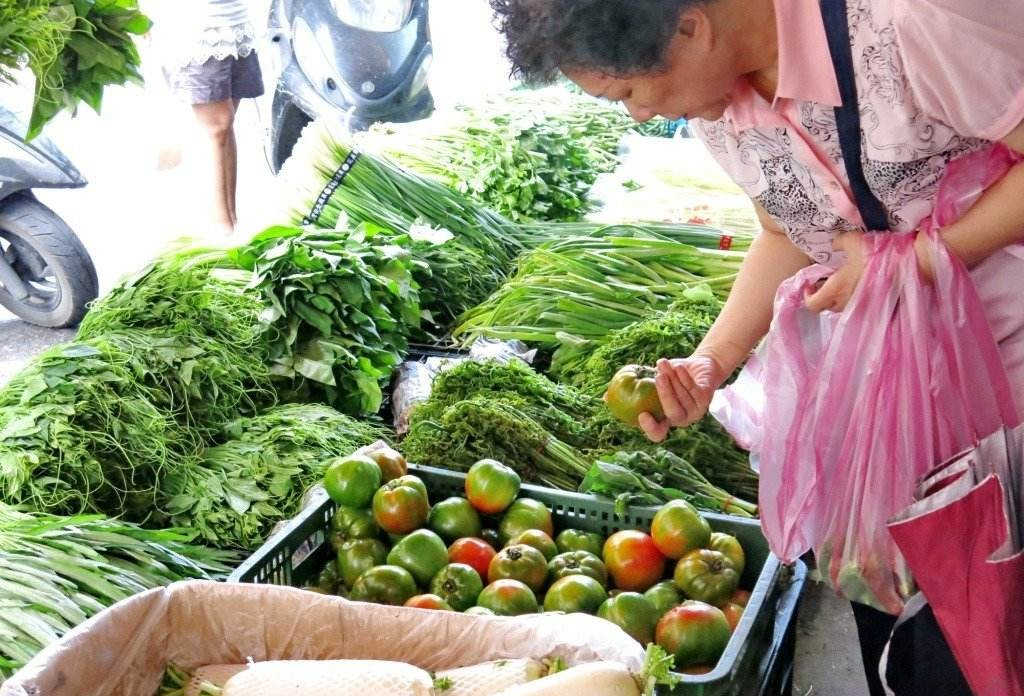 买菜还要大包小包拎回家?试试这神器,不拎不提,中老年用正合适