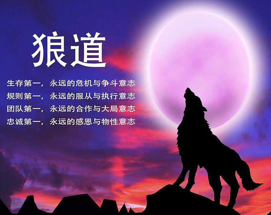 《狼道》:你不狠,别怪别人"狠",人性丛林,容不得妇人之仁