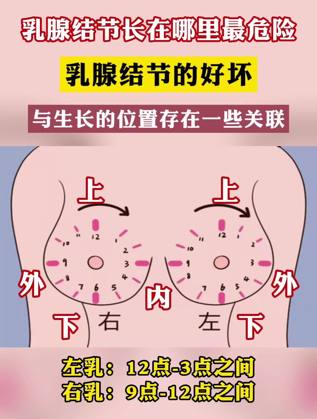 乳腺分布位置图片图片