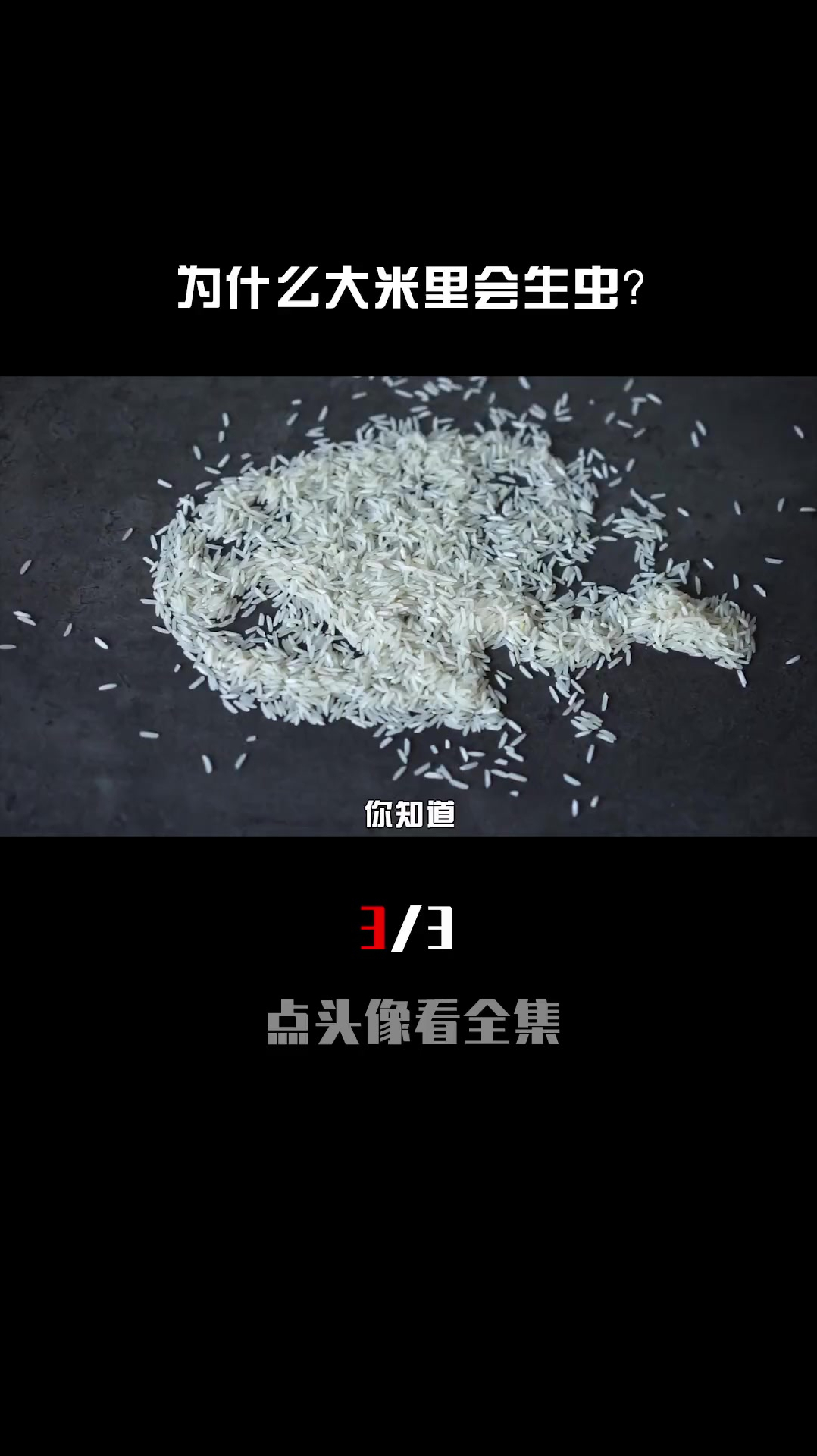 刚买的大米就生虫虫子从哪来的生虫的米还能不能吃33