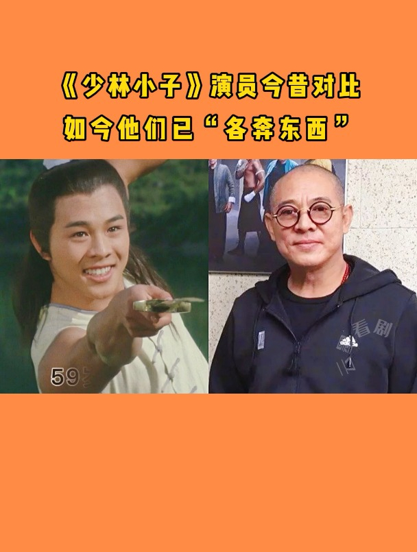 《少林小子》演员:59岁李连杰半隐退,"牧羊女"丁岚移民成富婆-度小视