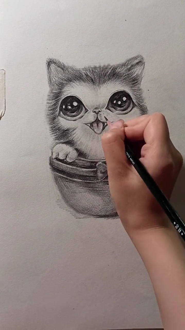 素描小萌宠猫咪素描绘画教程