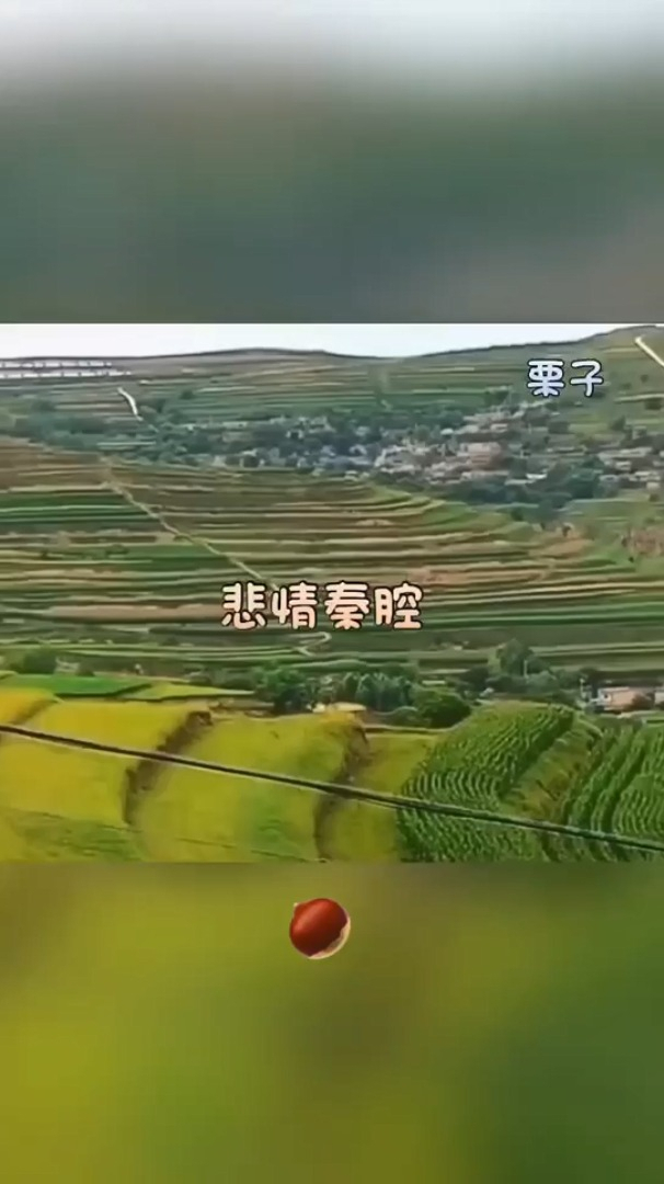 笛子独奏曲悲情秦腔李兵老师笛子演奏西北味浓厚