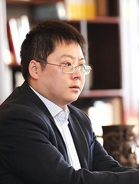 从国内卷走700亿,在缅北建立私人武装,e租宝丁宁凭什么这么狂3