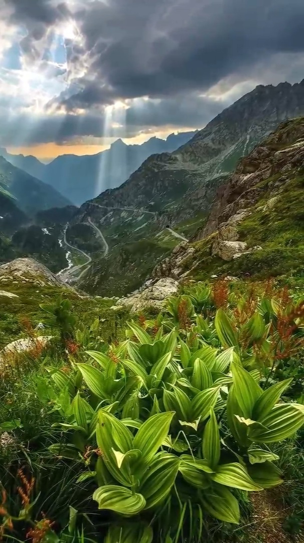 心情不好图片风景图片图片