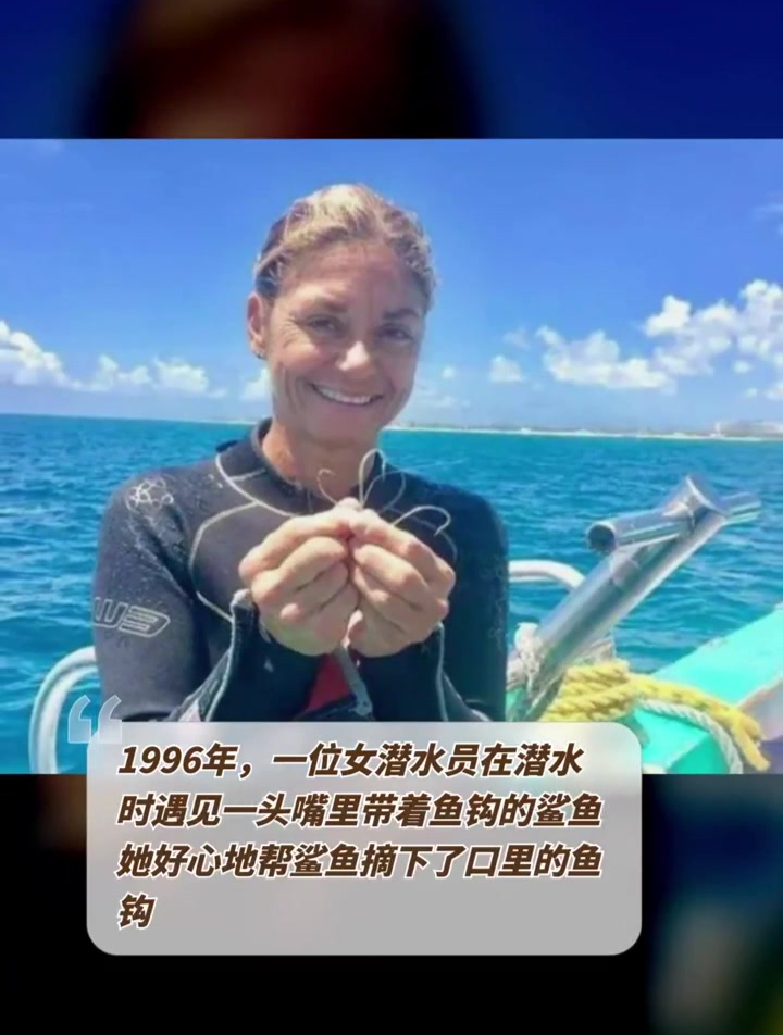 1996年,一位女潜水员在潜水时遇见一头嘴里带着鱼钩的鲨鱼-度小视