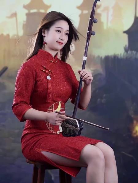 二胡演奏《红星照我去战斗》-度小视