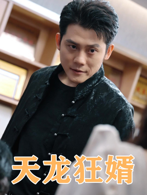 天龙狂婿