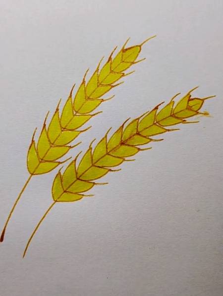 麦穗这样画就显得简单多了,再学不会我去你家洗袜子-度小视