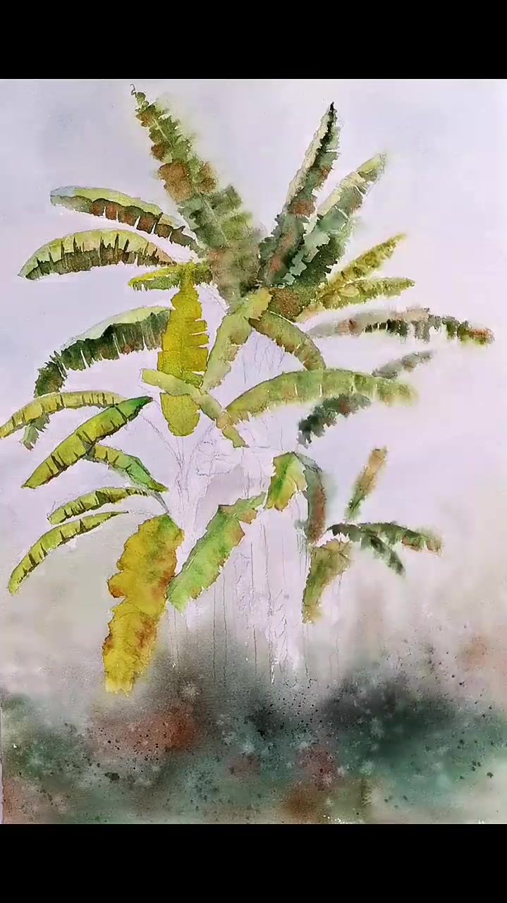 水彩,芭蕉树,水彩画教程