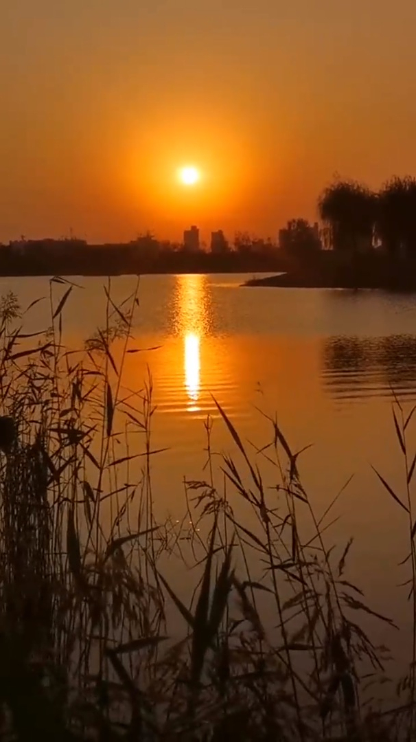 治愈风景欣赏:缘深缘浅,路长路短,看见就好!晚安