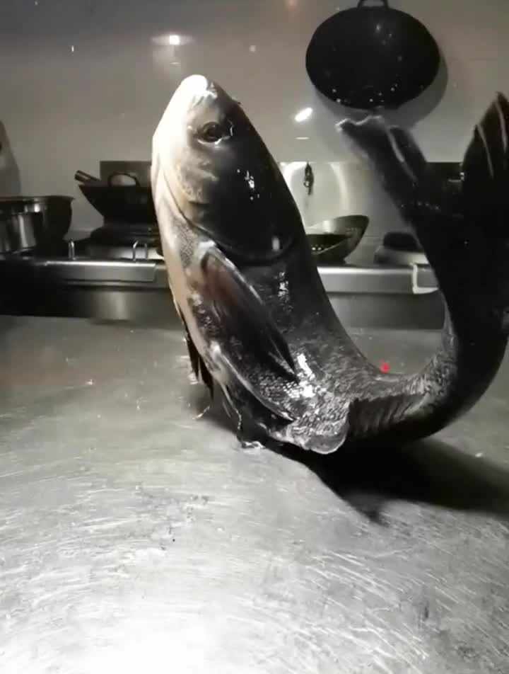 湘湖鱼头皇网红鱼头皇宴花海萧山宴网红美食热门辉哥教你做家常菜-度