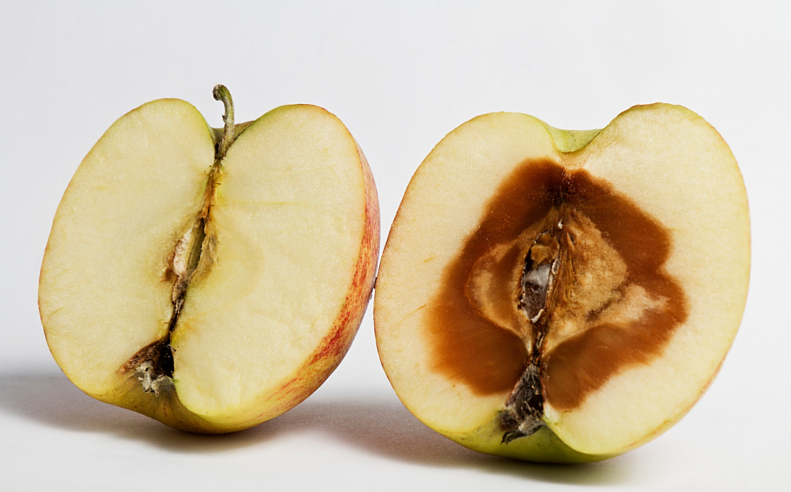 《吃对了嘛》水果只烂了一部分,切掉还能吃吗?分情况!