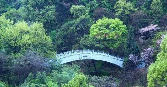 1991年,周至县楼观台森林公园钢索桥事故:超载后不堪重负