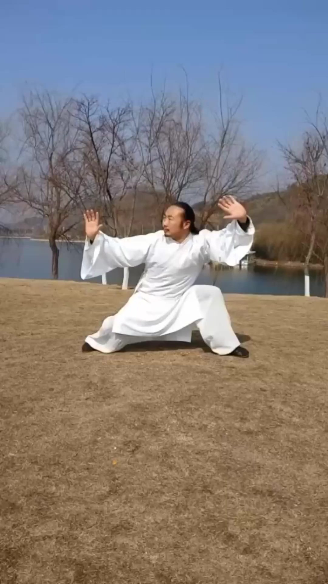 武当太乙逍遥掌,张三丰大战少林火工头陀,所用的武功之一!