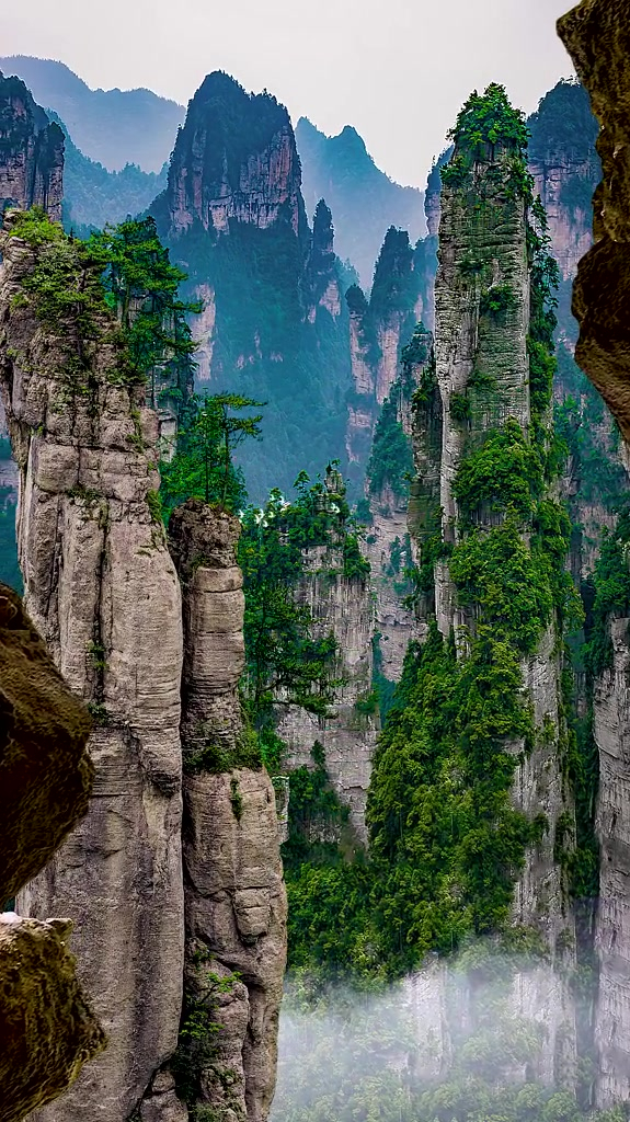 鬼斧神工张家界,不要一个人去,怕把你震撼哭了,没人帮你擦眼泪
