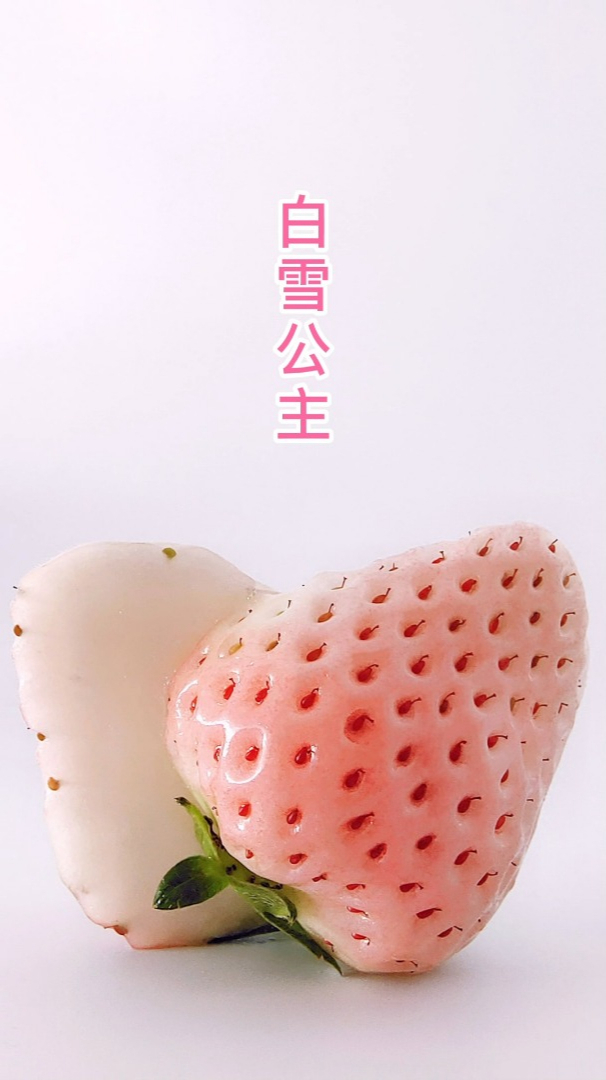 草莓界中的白富美白雪公主