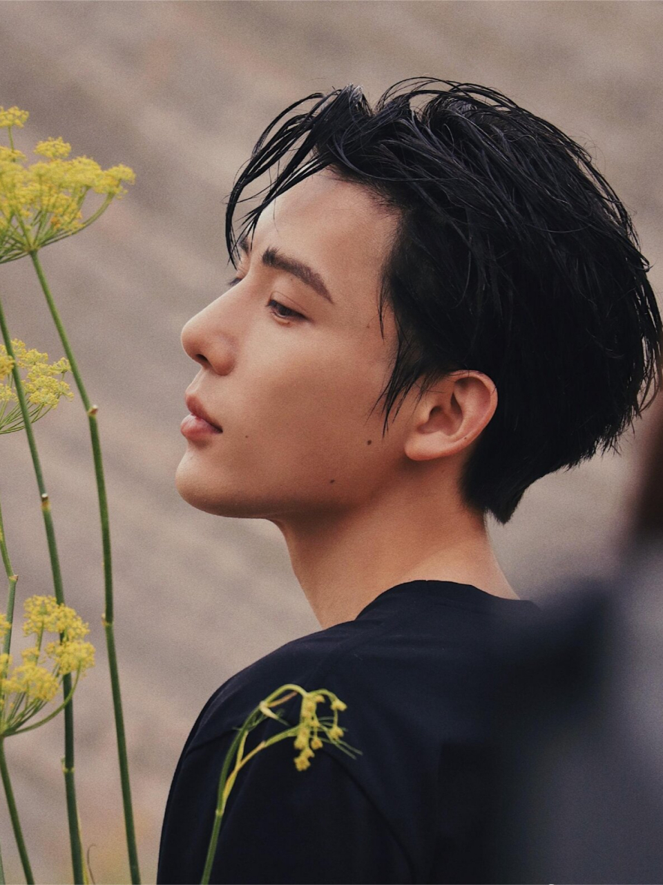 王安宇痞帅小哥思路 神隐首播吸引人,"双弱"人设创新,赵露思阿音可爱