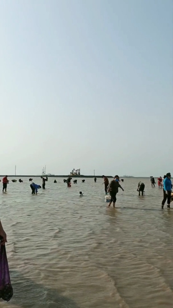 周末时光绝不能辜负东营港赶海大军来了来了他们真的来了