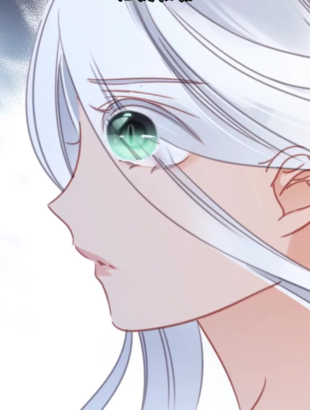 两大男神用尽手段争夺白墨桃