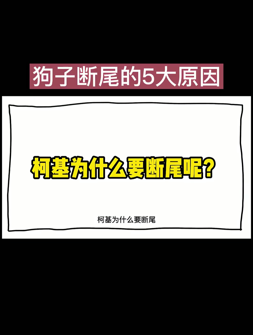 狗为什么需要断尾裁耳?断尾对狗的好处?