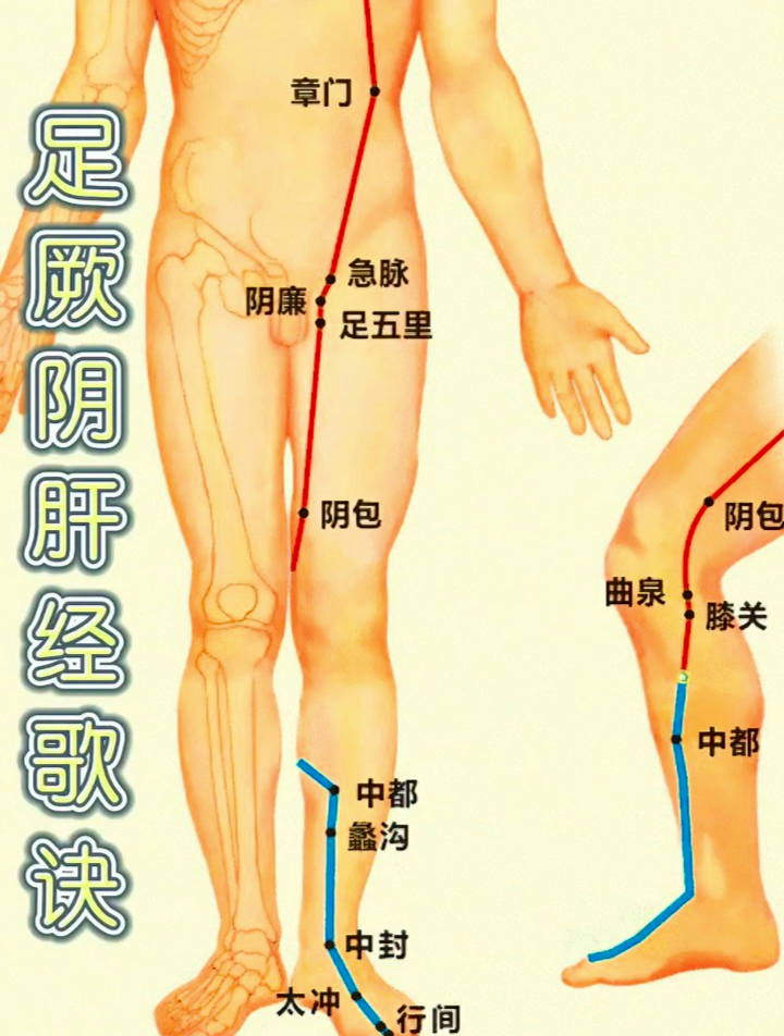 足厥阴肝经穴位歌诀,足厥阴经一十四,大敦行间太冲是!