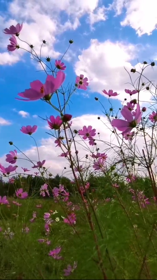 风景欣赏:失而复得的感情能维持多久,就如破镜难重
