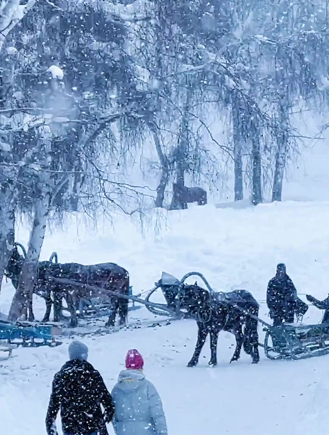 大雪天 农村图片