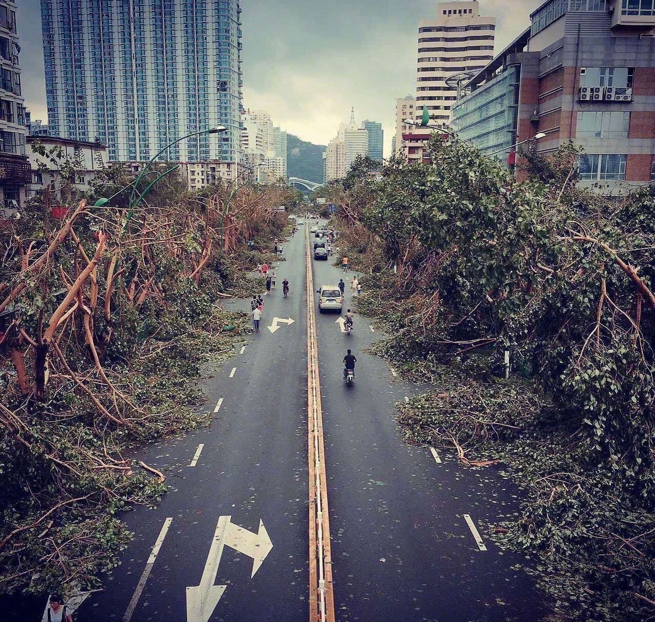 厦门湖滨东路,2016年莫兰蒂 vs 2023年杜苏芮 ​ #台风杜苏芮