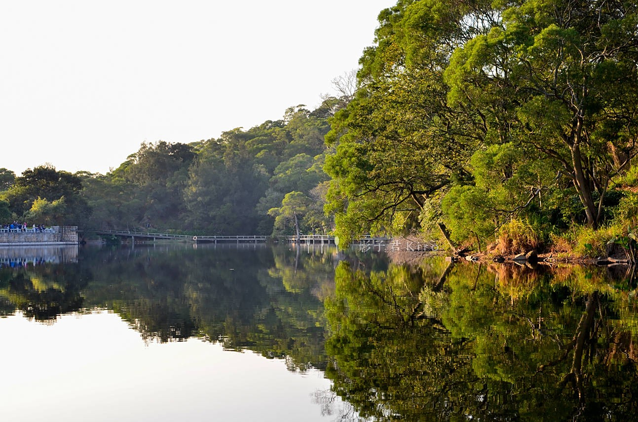厦门大学的一个景点,厦大"情人谷",风景优美