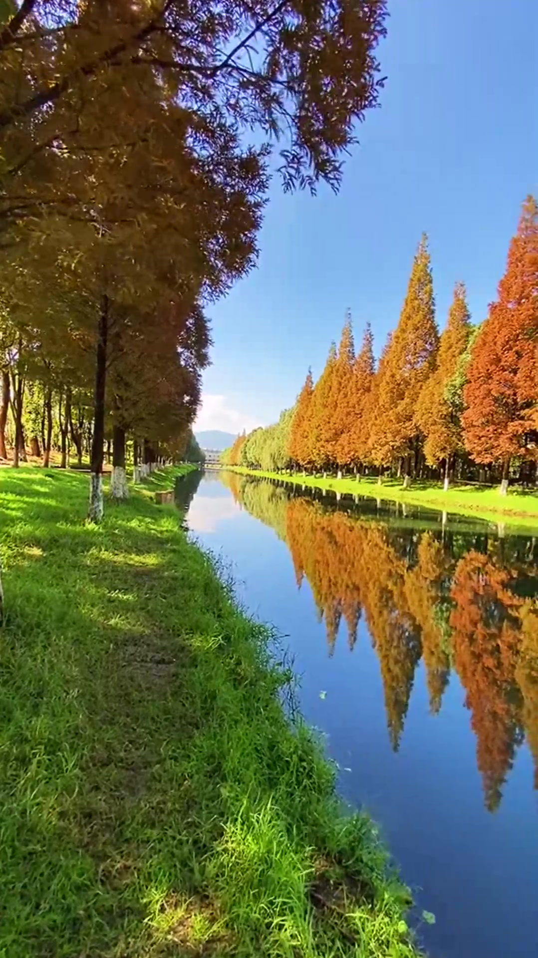 大自然治愈风景:既然去不了诗和远方,那就来河边走走