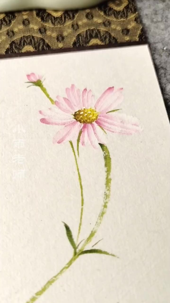 格桑花的姿态,国画教学