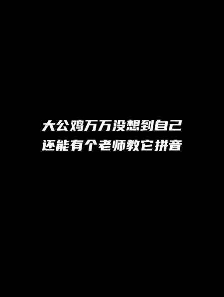 大公雞萬萬沒想到自己還能有個老師教它拼音-度小視