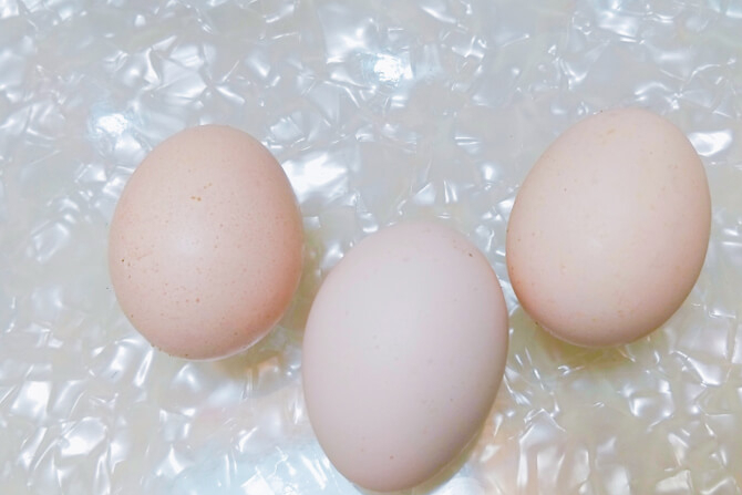 公鸡蛋和母鸡蛋的区别是什么呢?为什么人们喜欢吃公鸡蛋呢?