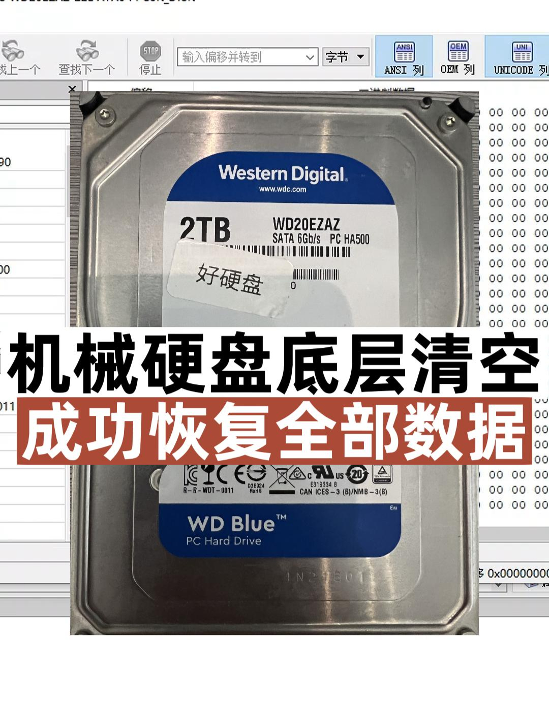 本期视频演示机械硬盘格式化后造成底层字节清空,成功恢复数据