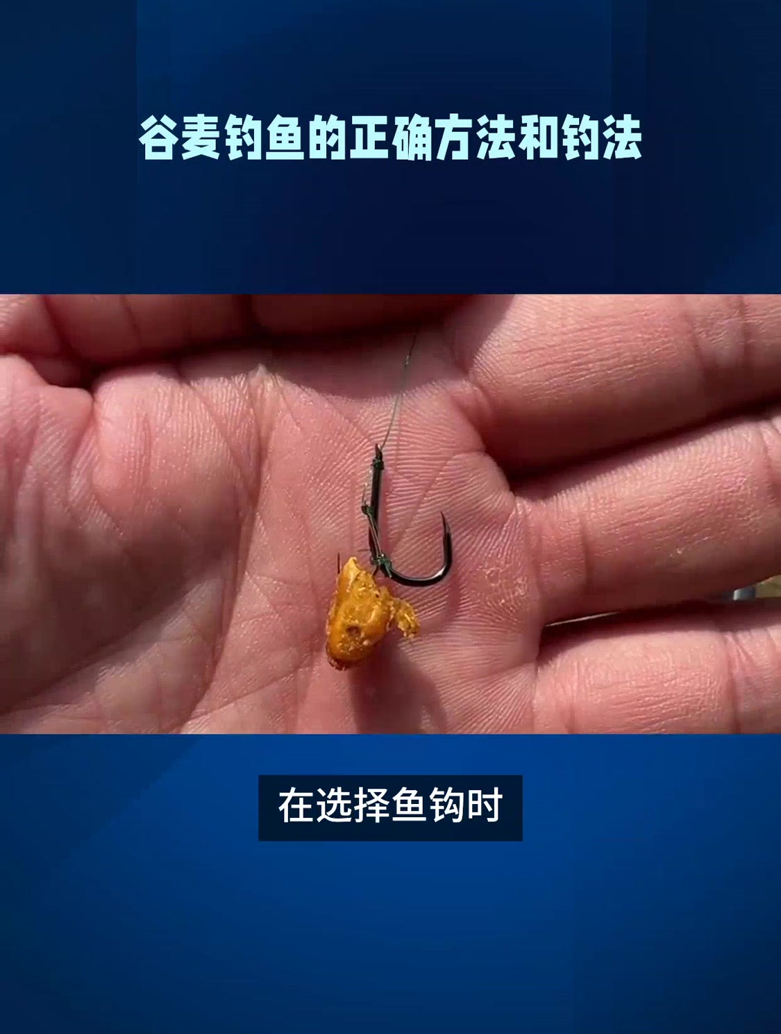 谷麦钓鱼的正确方法和钓法