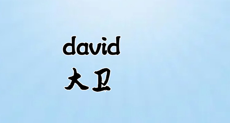 david是什么意思人名