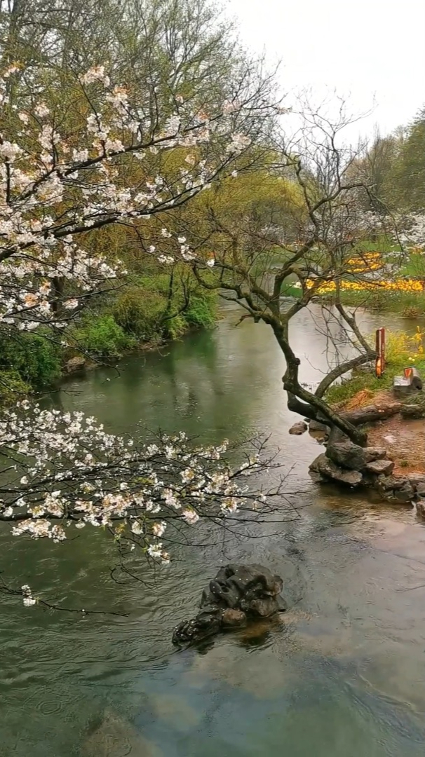 江南春景,雨中湖灣