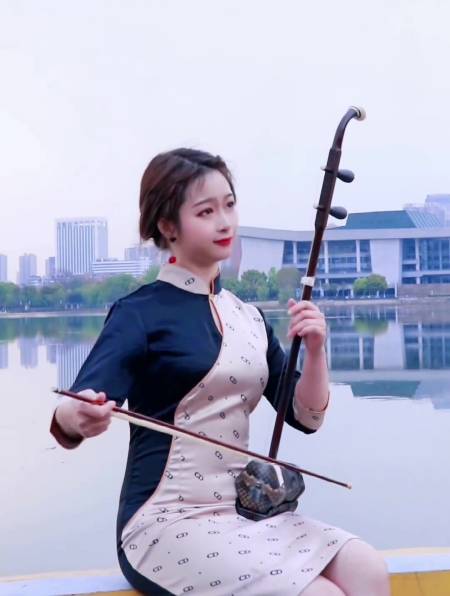 二胡演奏《可可托海的牧羊人》-度小视