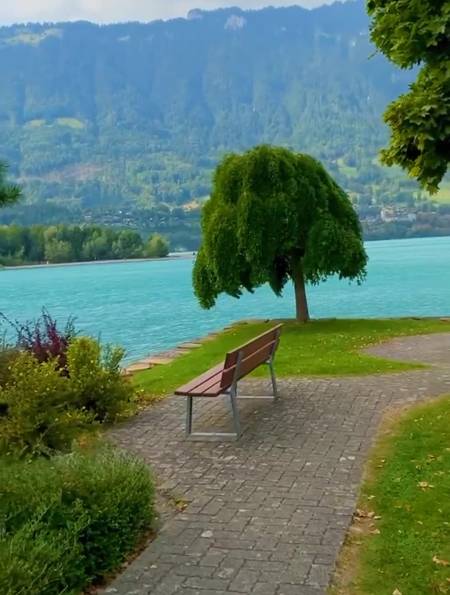 心情,留给懂你的人;感情,留给爱你的人.自然风景-度小视