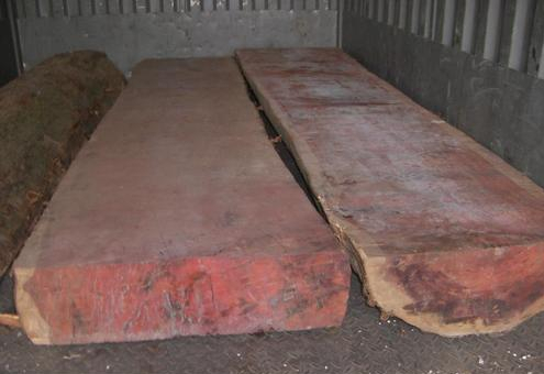 红豆杉木材有什么用途