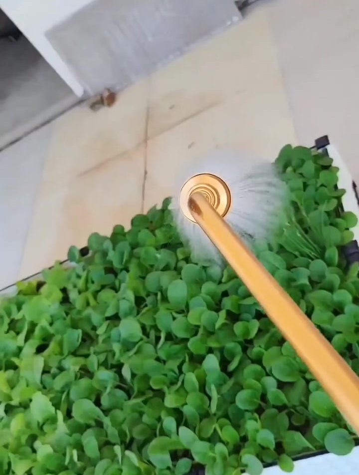 干活从娃儿抓起,锻炼动手能力!楼顶菜园 阳台种菜 农村生活