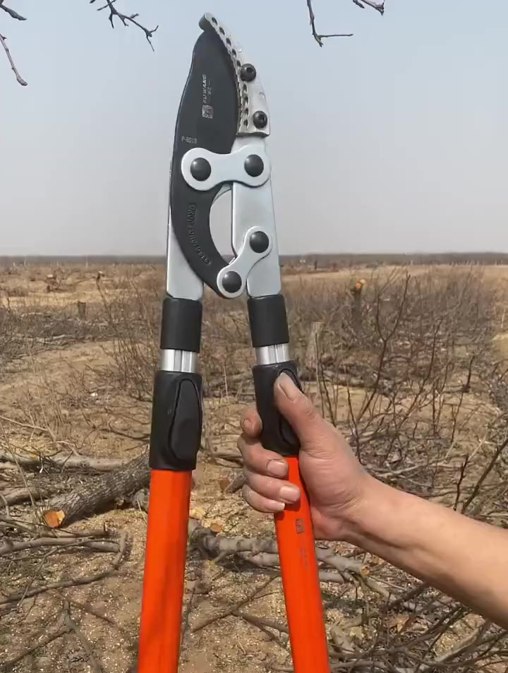 手动修枝剪方便好用