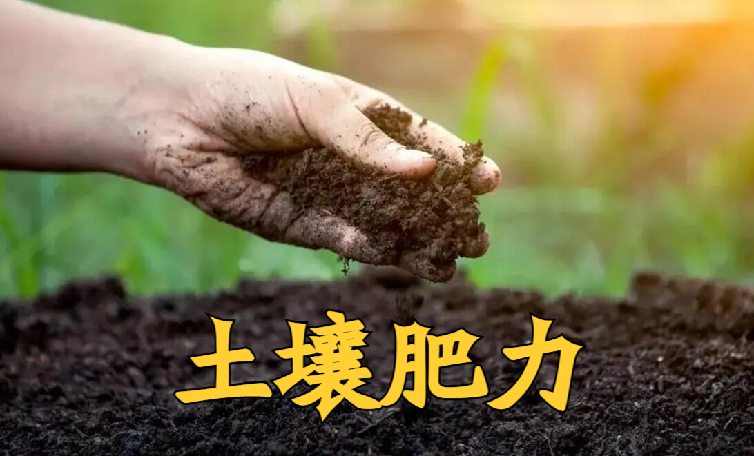 "土壤肥力"到底是什么?提高肥力提高的什么?科学数据来解释