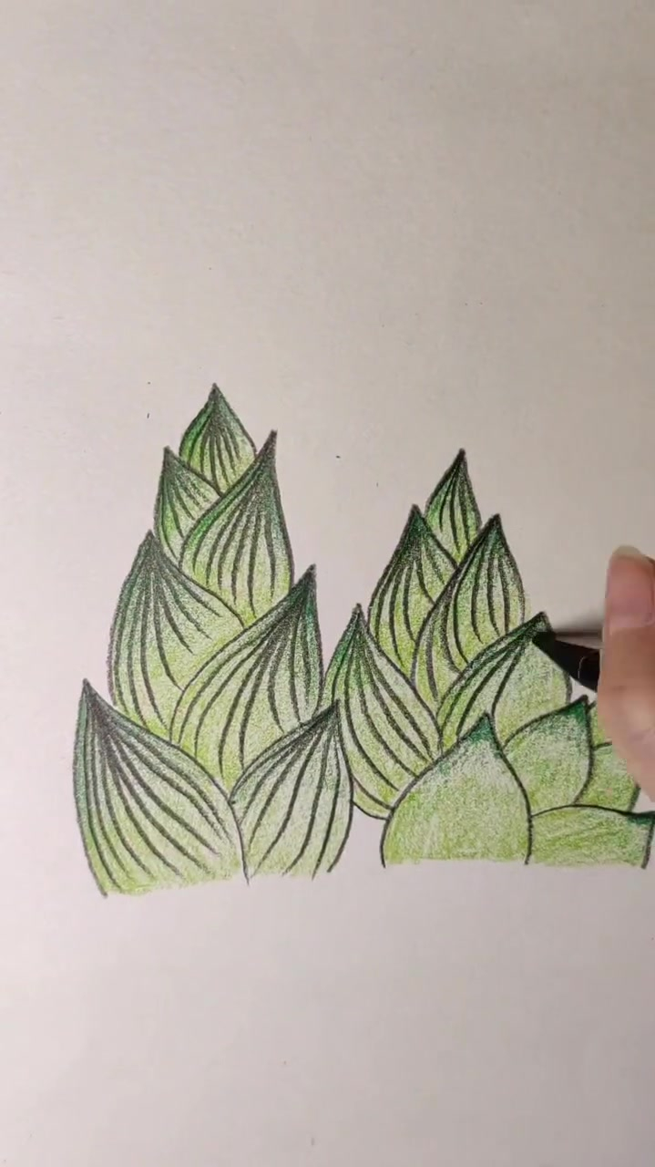 雨后的春笋也要长出来了,彩铅