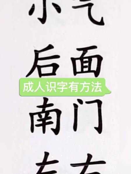手机打字成人拼音成人识字识字-度小视
