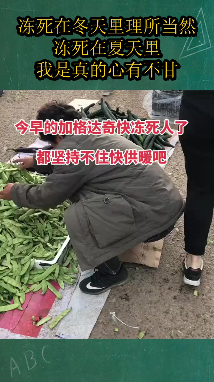 冻死在冬天里理所当然,冻死在夏天里,我是真的心有不甘!