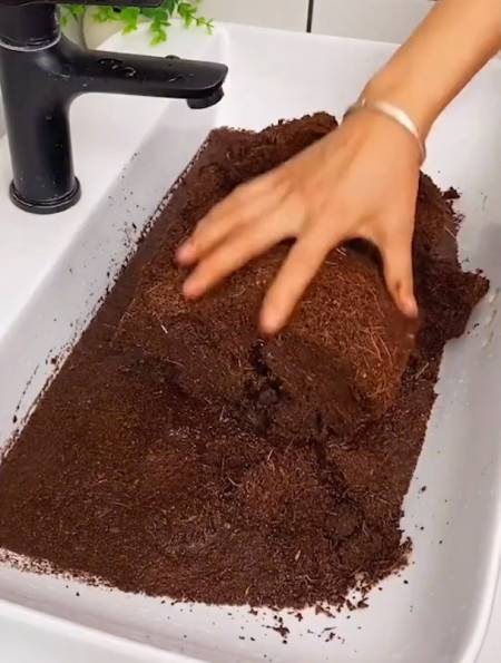 这个椰砖 真是好,种菜种花少不了,再也不用为找不到土而发愁了-度小视